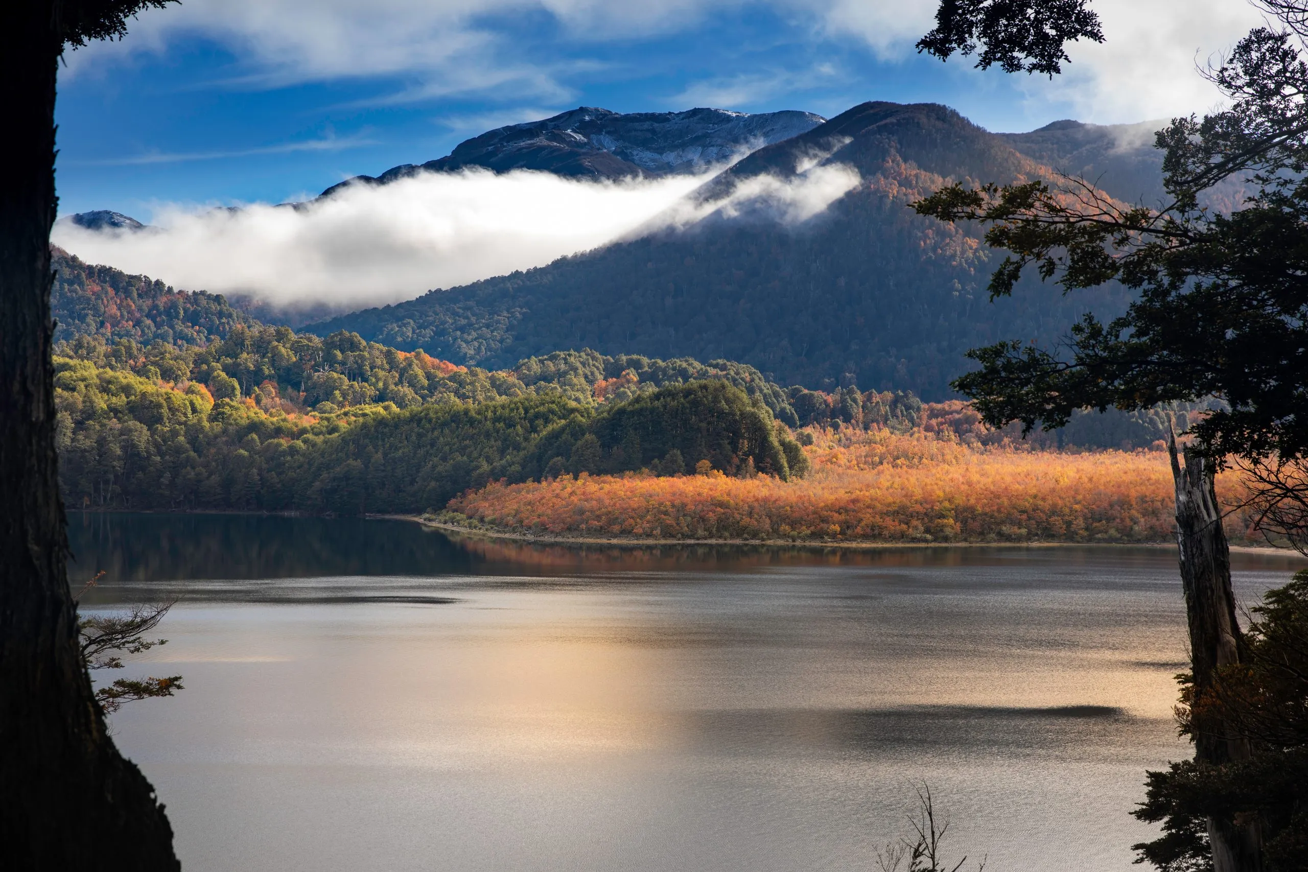 Lago Villarino ubicado en el parque Nacional Nahuel Huapi, Neuquen, Argentina.